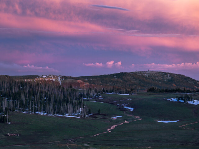 Pink evening clouds over an open mountain meadow
